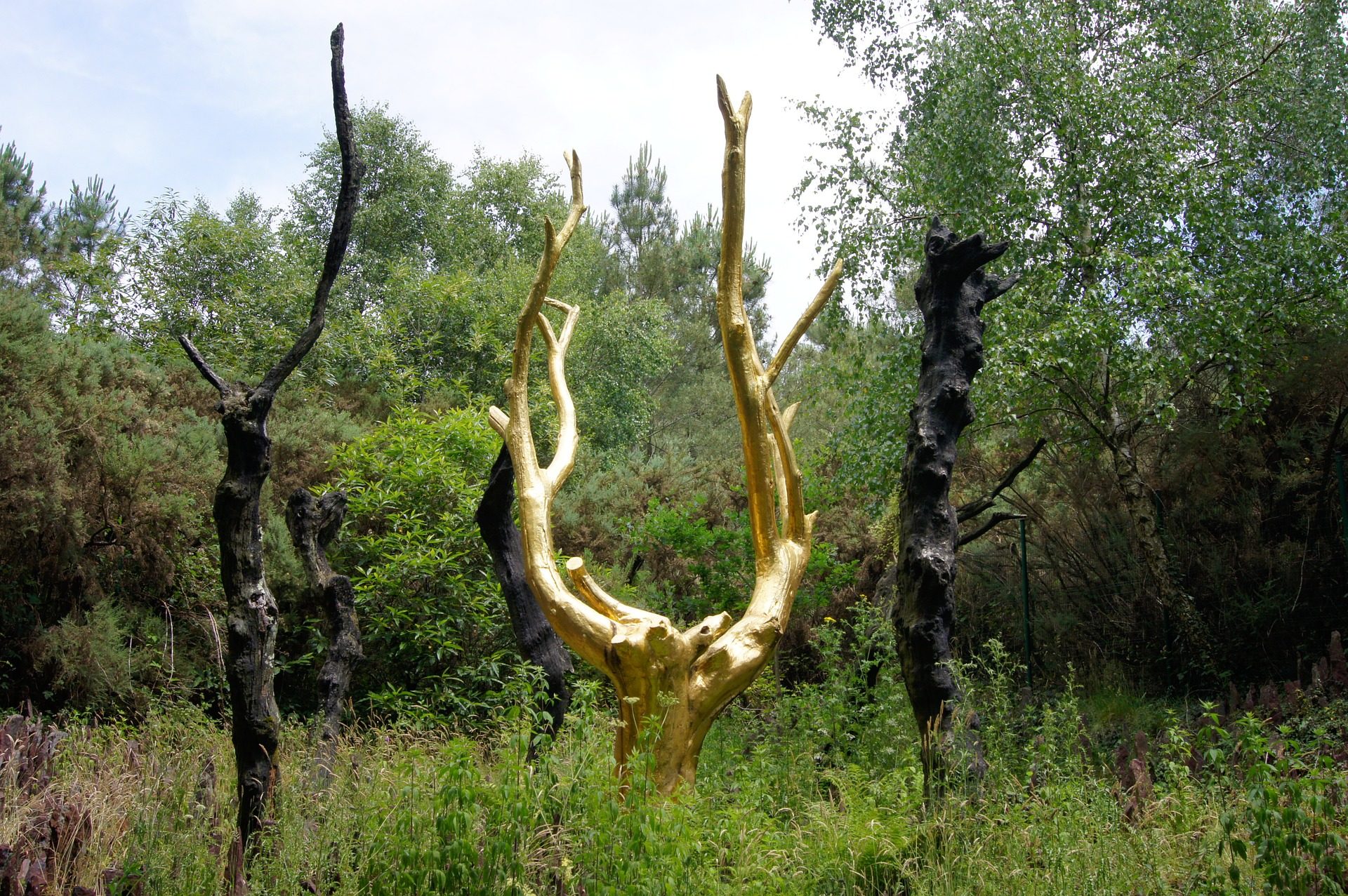 Arbre d'or Brocéliande bornes d'accueil digitales