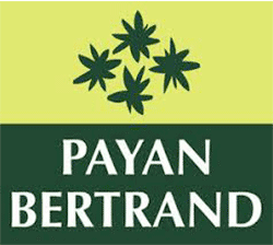 Entreprise digitale logo payan bertrand