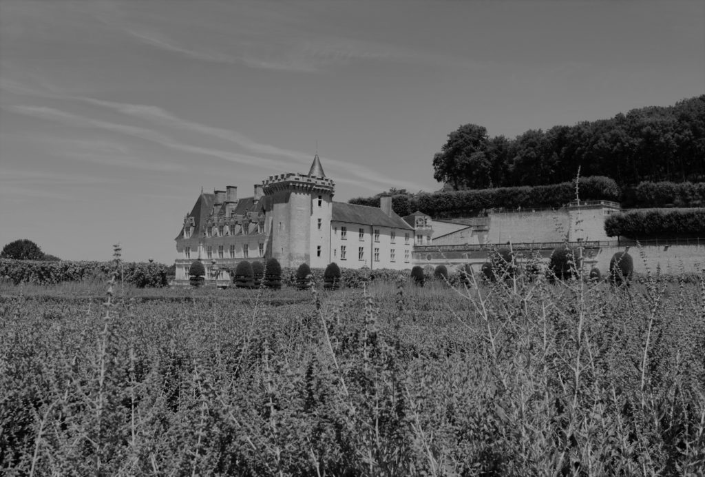 numérisation château de villandry